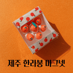 제주 한라봉/감귤 박스 마그넷 자석